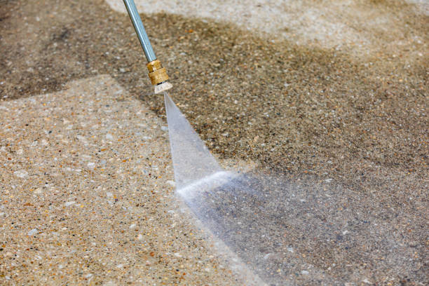 Best Animal Enclosure Cleaning  in Mount Carmel, OH