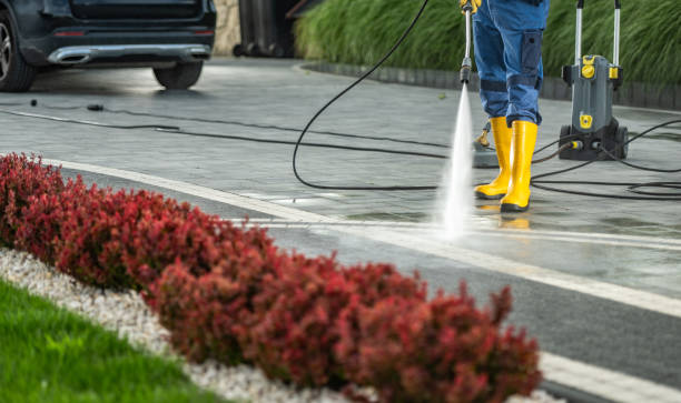 Best House Exterior Washing  in Mount Carmel, OH
